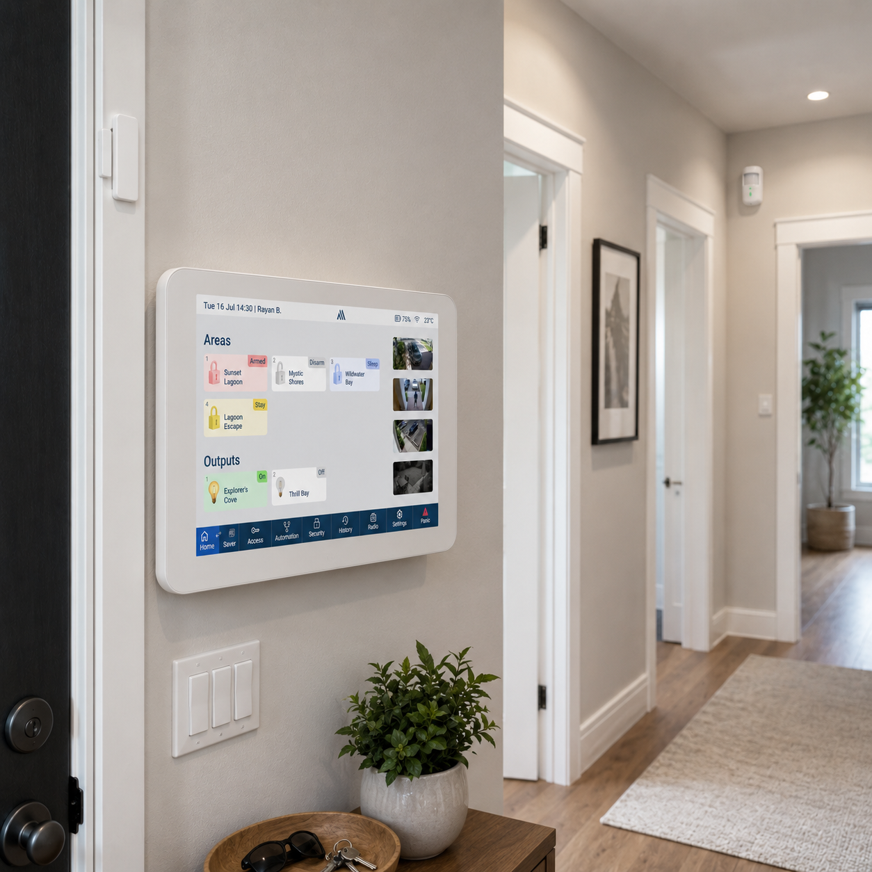 Alarms & Detection Systems