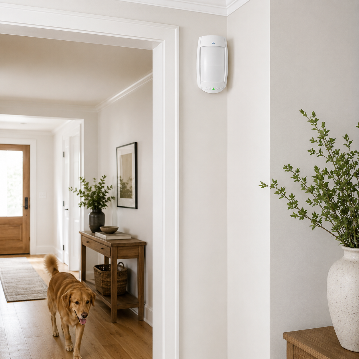 Wireless Pet Friendly Motion Sensor